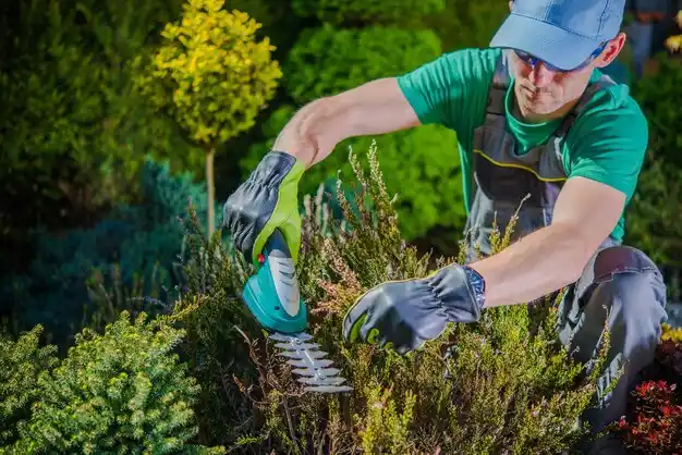 landscaping services Brown City